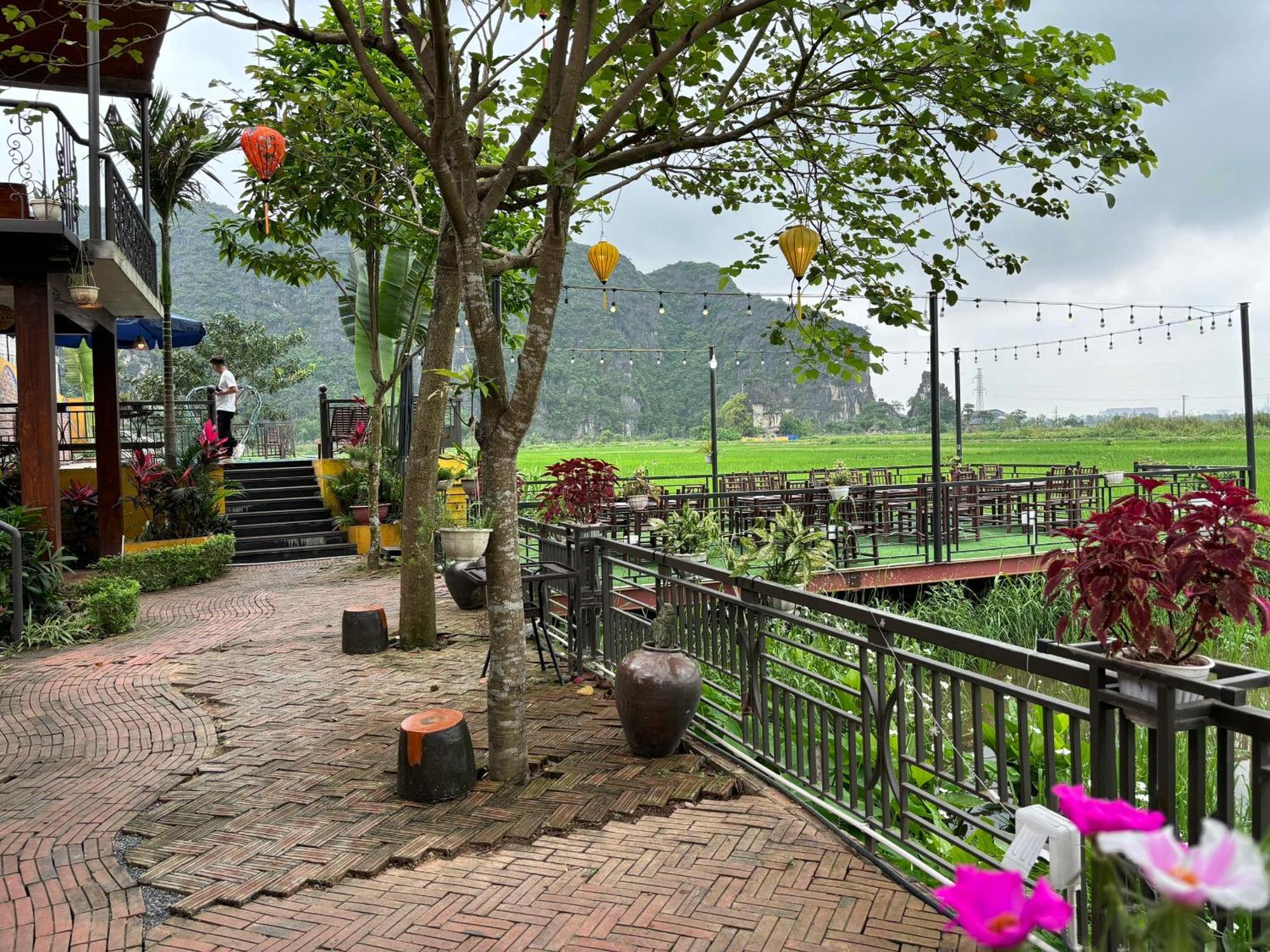 Papaya Bungalow & Rice Fields Daire Ninh Binh Dış mekan fotoğraf